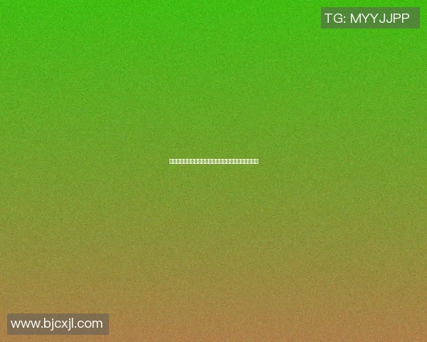 深入探讨北京足球队在赛季中的力量表现与数据分析结果