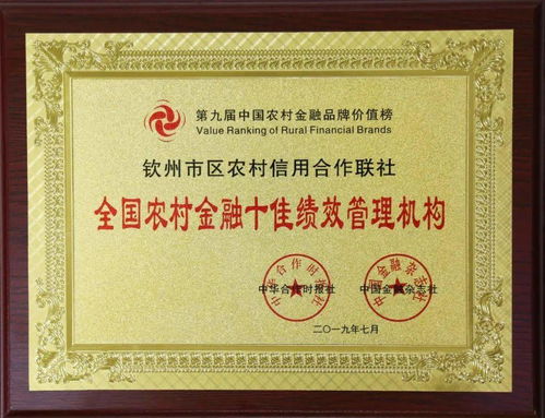 砥砺奋进十五载 农信文化铸辉煌——钦州农信“海腾文化”创建五周年侧记